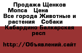 Продажа Щенков Мопса › Цена ­ 18 000 - Все города Животные и растения » Собаки   . Кабардино-Балкарская респ.